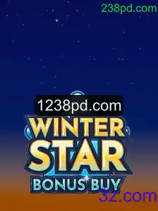 Explorando WinterStarBonusBuy: Um Mergulho nas Regras e Dinâmicas do Jogo